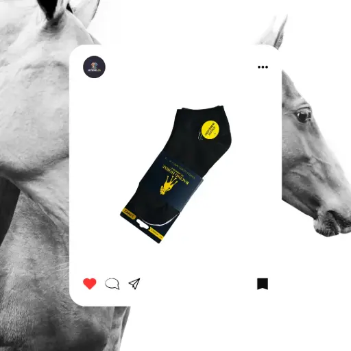 Calcelta Nylon Polo